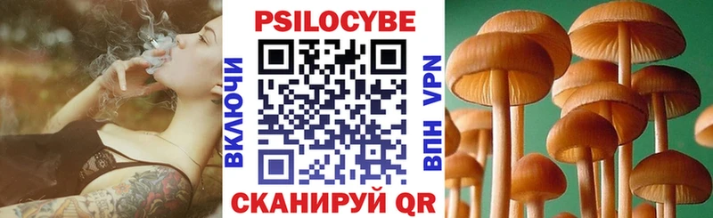 Галлюциногенные грибы Psilocybe mega зеркало Петушки